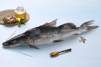 Singhara / Seenghala / Ayer / Aar / Long Whiskered Catfish / Vellakoori