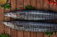 Spanish Seer Fish (Medium) - Whole