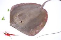 Delicious Stingray / Thirandi - Whole