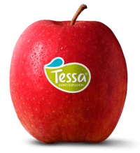 Apple Tessa (IT) Pack of 4