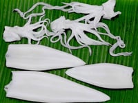 Kerala Squid / Koonthal - Tube and Tentacles