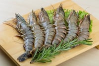 Tiger Prawn (Extra Colossal)  - Whole (Not Cleaned, Not Peeled)
