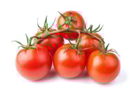 Tomato Cherry Bunch (NL)