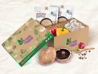 Veg Mushroom Fajita - Meal for 4