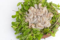 Indian Prawns / Venami / Vannamei / Jhinga / Chemmin (20+ Count/kg) - PUD