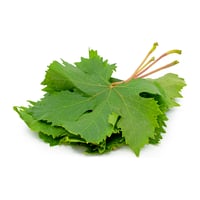 Vine / Grapes Leaves - 1 Bunch
