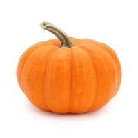 Decoration Orange Pumpkin -Pack of 1 (1.3kg+)