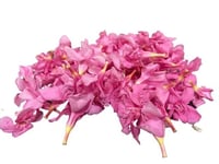 Oleander Flowers/ Pink Arli - (Pack of 200g)