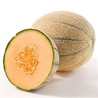Rock Melon (IN) - 1unit 