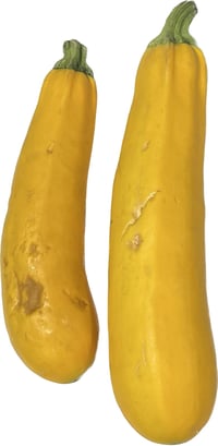 Imperfect Zucchini Yellow
