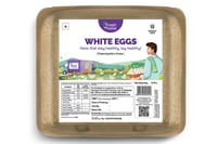 White Chicken Eggs (Pack of 12)