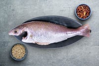 White Snapper / Vela Meen (Small) - Whole Cleaned
