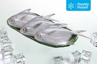 Silver Pomfret / White Pomfret - Whole (Medium, 420g to 460g Pack, Freshly Frozen)