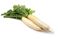 Radish White