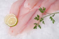 White Snapper fish Fillet - 230g+ Pack (Freshly Frozen)