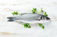 Wild Seabass (UAE Special) - Whole