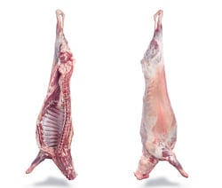 Premium Tender Lamb - Whole Carcass - Half (two half in length) Cut