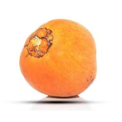 Coconut Tender - 1 Unit (SL)