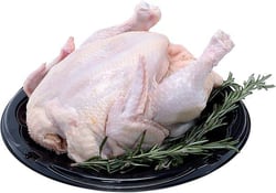 Turkey - (Small) - Whole Bird (Pack of 1 Bird)
