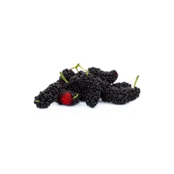 Mulberry - 250g 