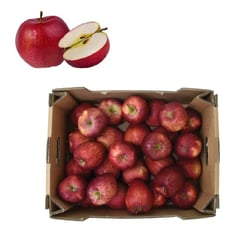 Apple Red (USA) - 10kg Box (5kg x 2)