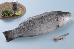 Barramundi / Bhetki / Asian Seabass - Whole Cleaned