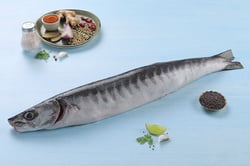 Barracuda / Cheelavu (Small) - whole Cleaned