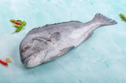 Gray Snapper - Whole