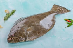 Halibut / Ayiram Palli - Whole