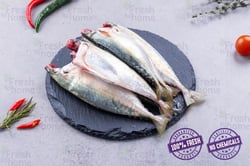 Mackerel / Garfa / Ayala / Bangda (Small) - Whole Cleaned