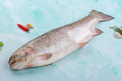 Norwegian Trout - Whole