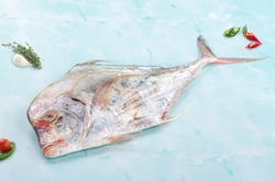 Silver Trevally / Kannadi Vatta - Whole
