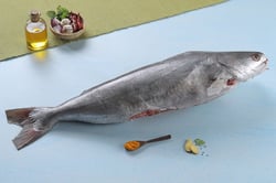 Catfish / Etta Koori (Medium) - Whole Cleaned