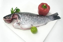 Catla / ಕಾಟ್ಲಾ (1kg to 2kg) - Whole Cleaned (Descaled,Cleaned, Not Cut In Pieces)