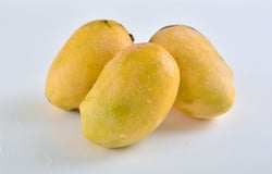 Mango Chaunsa - Pack of (550g to 600g)