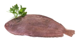 Dover Sole - Whole