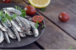 European Anchovy / Natholi - Whole
