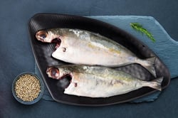 Finletted Mackerel / Kanni Ayala (Small) - Whole Cleaned