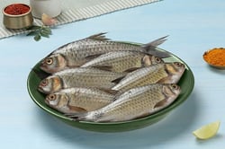 Paral / Giant Danio - Whole