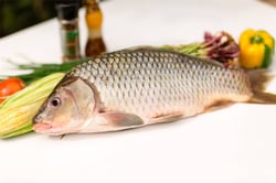 Chinese Rohu / Kayal Chemballi - Whole