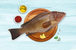 Reef Cod / Kalava (Medium) - Whole