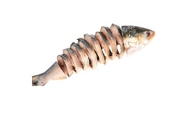 Hilsa / Ilish (150g to 300g) - Bengali Round Cut (Only scale, gills removed. Includes head and tail, tasty oils/eggs)