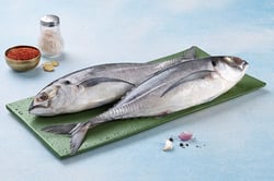 Horse Mackerel / Ayala Para / Vankada / ಗೊಂಡ್ಲು - Whole