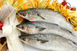 Mullet / Kanambu (Small) - Whole