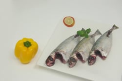 Indian Scad / Vatta Kanni / Thiriyan - Whole Cleaned