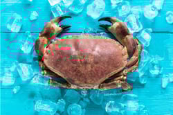 King Crab - One Whole Crab