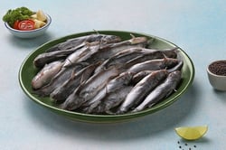 Kolkata Tengra / Tyangra / Koori (Lake) - Whole (480g to 500g Pack)