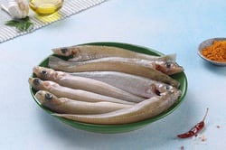 Lady Fish / Kane / Silver Whiting - Whole Cleaned (450g to 500g Pack)