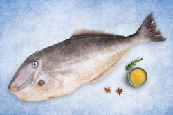 Leather Jacket - Whole