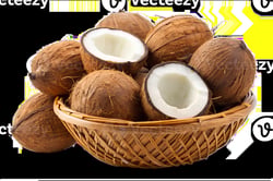Coconut  Medium - 10pc Bag